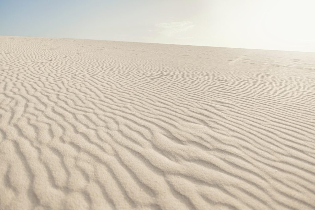 Extreme Heat Warnings Are a Test of Whether Alerts Change Behavior