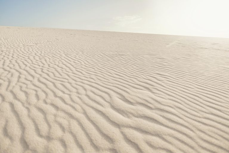 Extreme Heat Warnings Are a Test of Whether Alerts Change Behavior