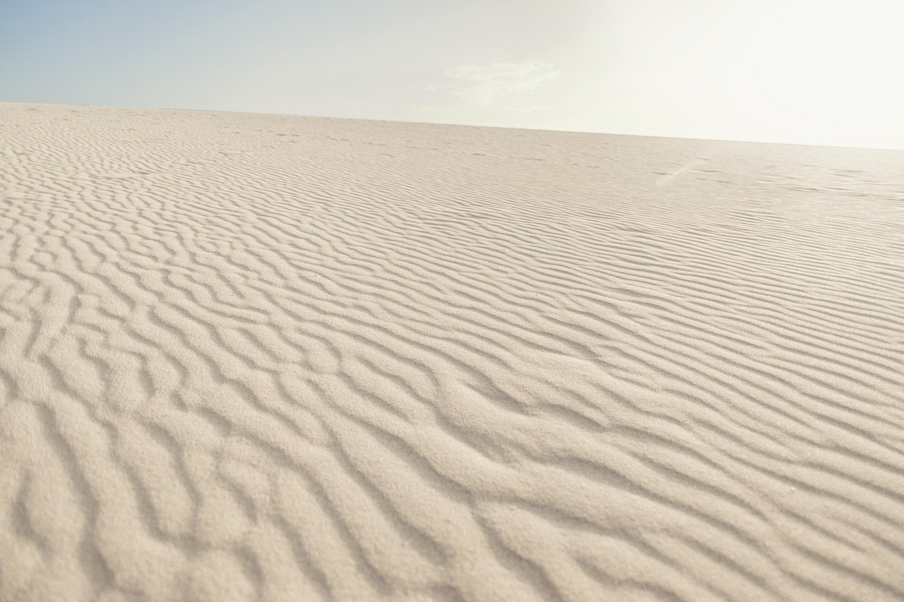 Extreme Heat Warnings Are a Test of Whether Alerts Change Behavior