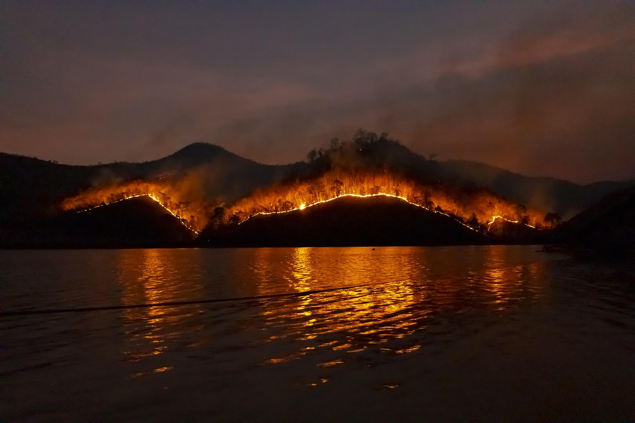 Wildfire Smoke Is Becoming a Real-Time Public-Health Data Problem